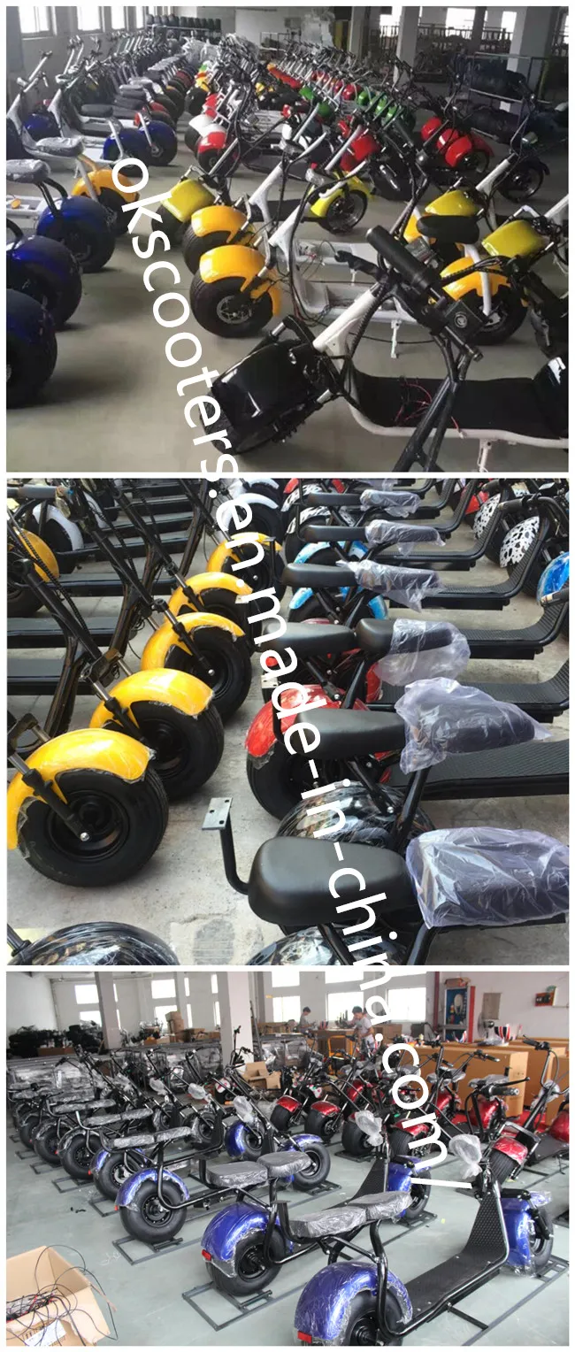 1500W Electric Scooter Halley Scooter Hot Sale ATV Scooter with Big Wheel