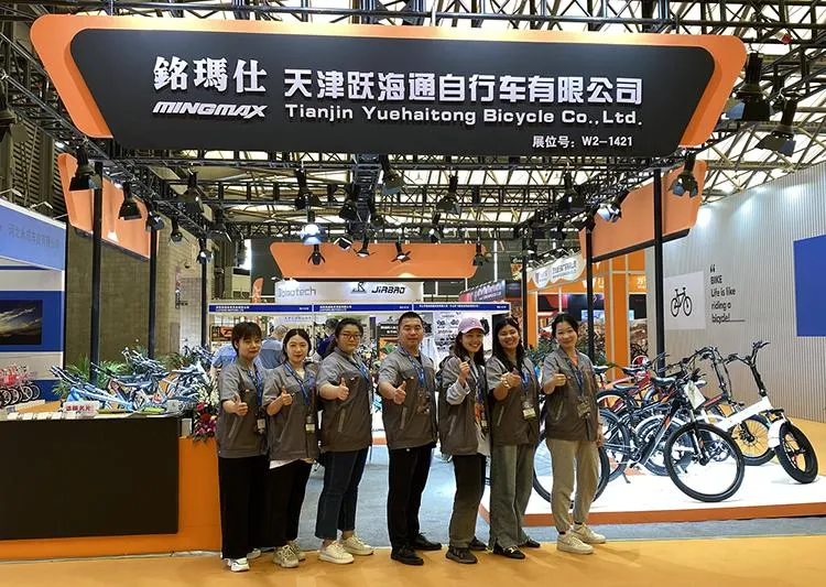 20 Inch Fat Tire Foldable City Electric Bike Rear Motor with Lithium Battery E Bike