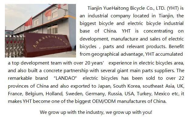 20 Inch Fat Tire Foldable City Electric Bike Rear Motor with Lithium Battery E Bike