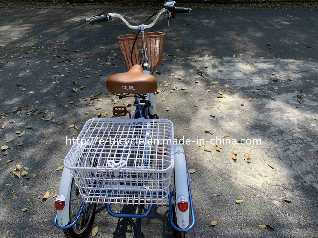 20" Three Wheels Tricycle Lithium Battery Electric Tircycle for Old Men