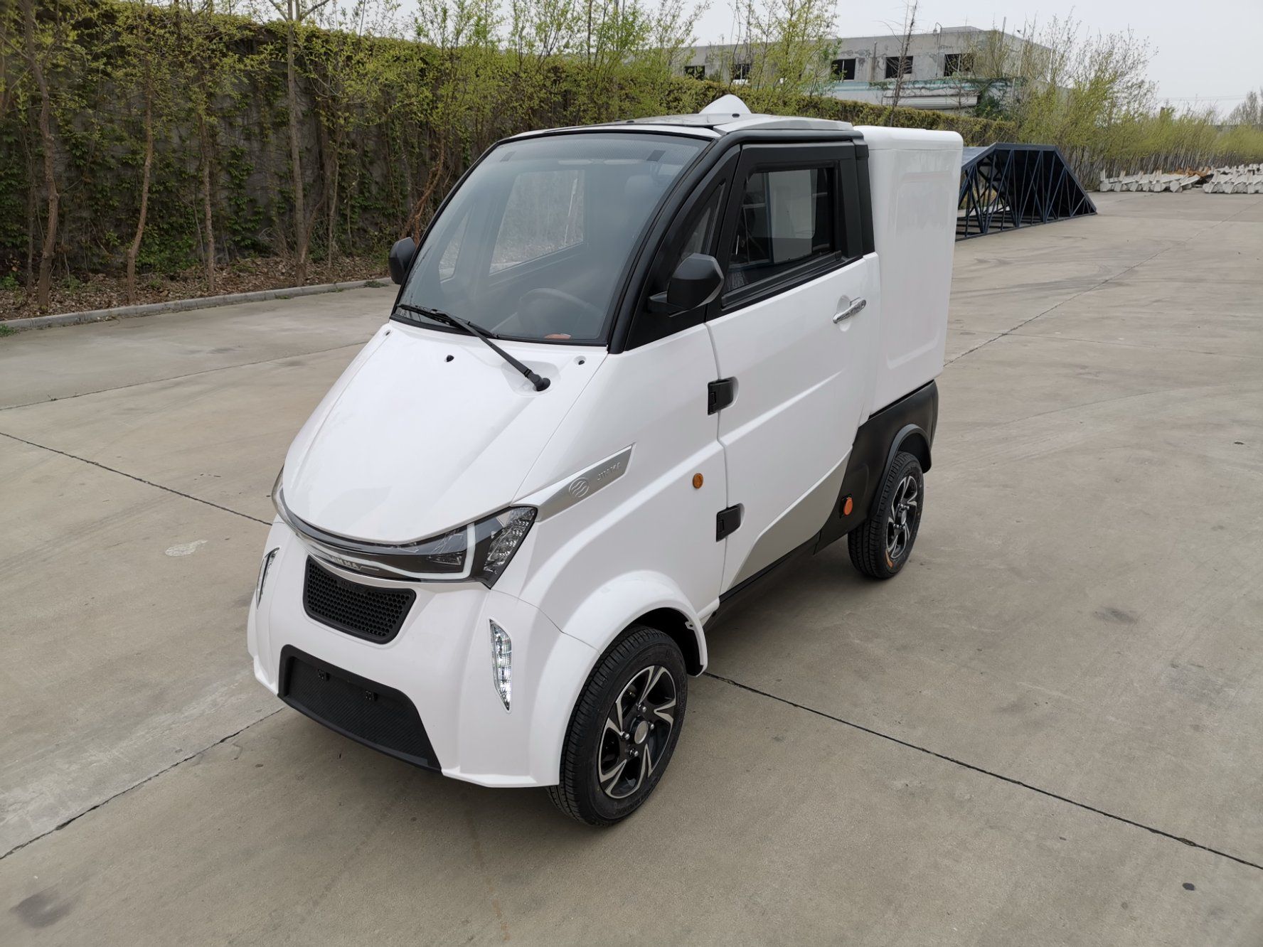200ah Lithium Battery Fully Enclosed Cab Electric Cargo with EEC