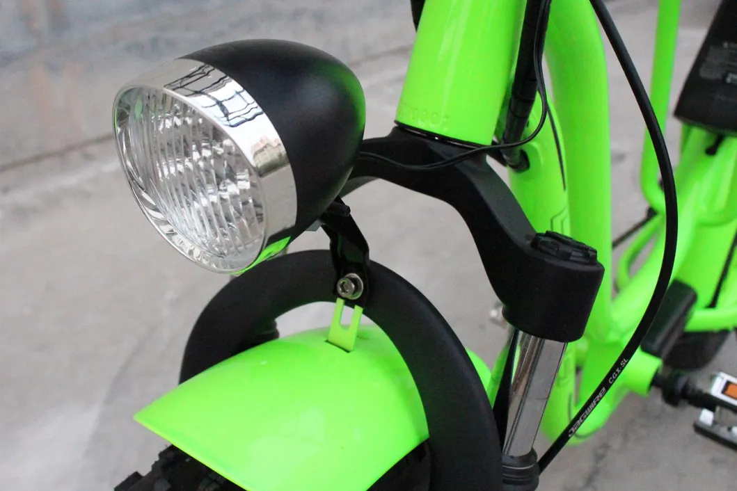 2018 Rear Drive Ebike Electric Fat Tire Bike