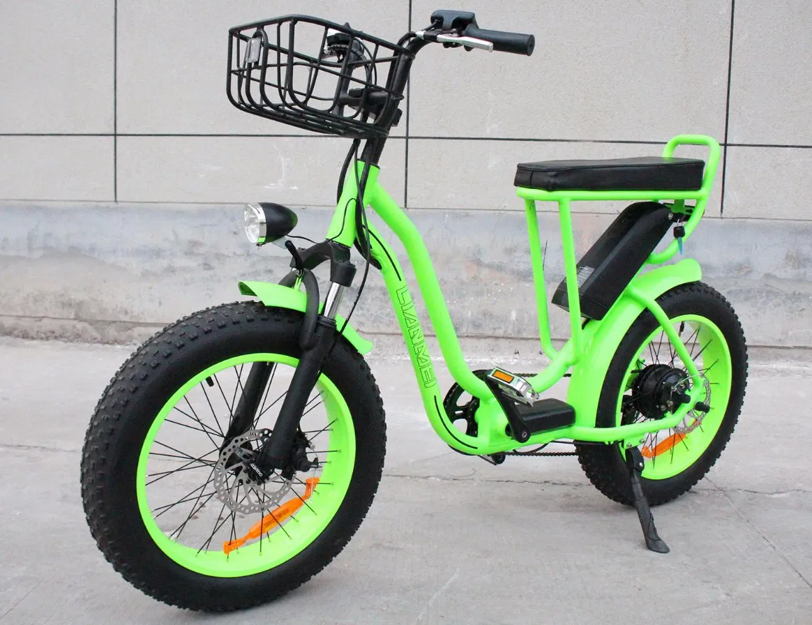 2021 Rear Drive Ebike Electric Fat Tire Bike