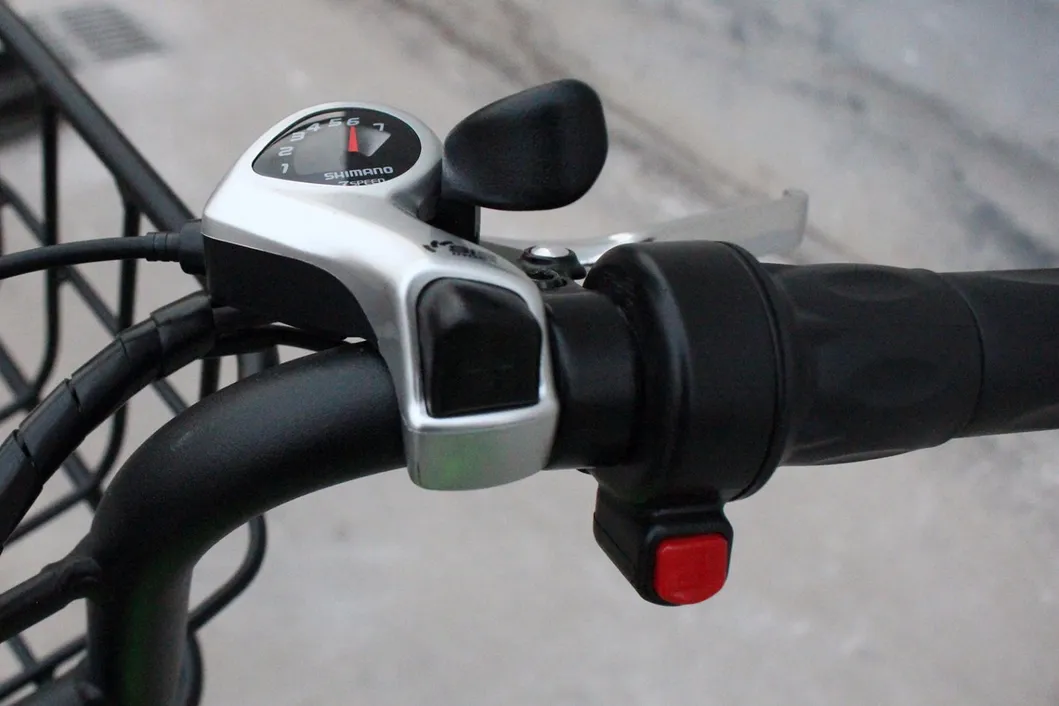 2018 Rear Drive Ebike Electric Fat Tire Bike