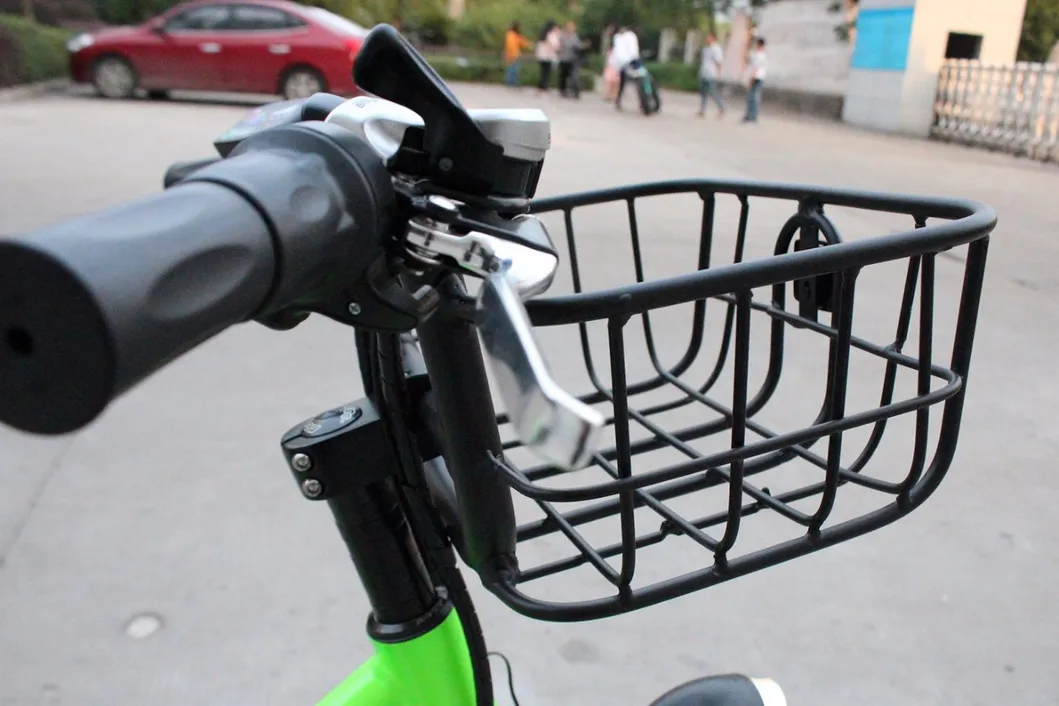 2018 Rear Drive Ebike Electric Fat Tire Bike