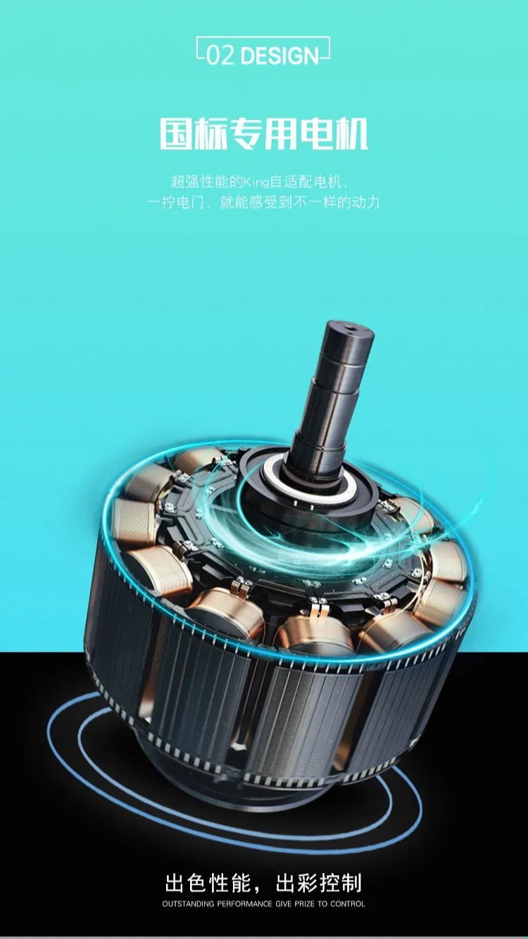 2019 Classical Adult 72V Niu Scooter Homemade QS Motor City Coco 3000W Dkd Road Legal 10000W Electric Motorcycle