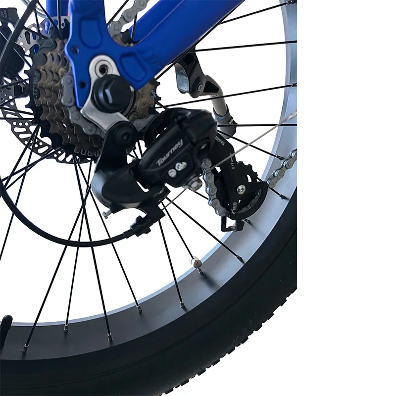 2020 N Lithium Battery 48V 13ah 500W MID Drive Ebike