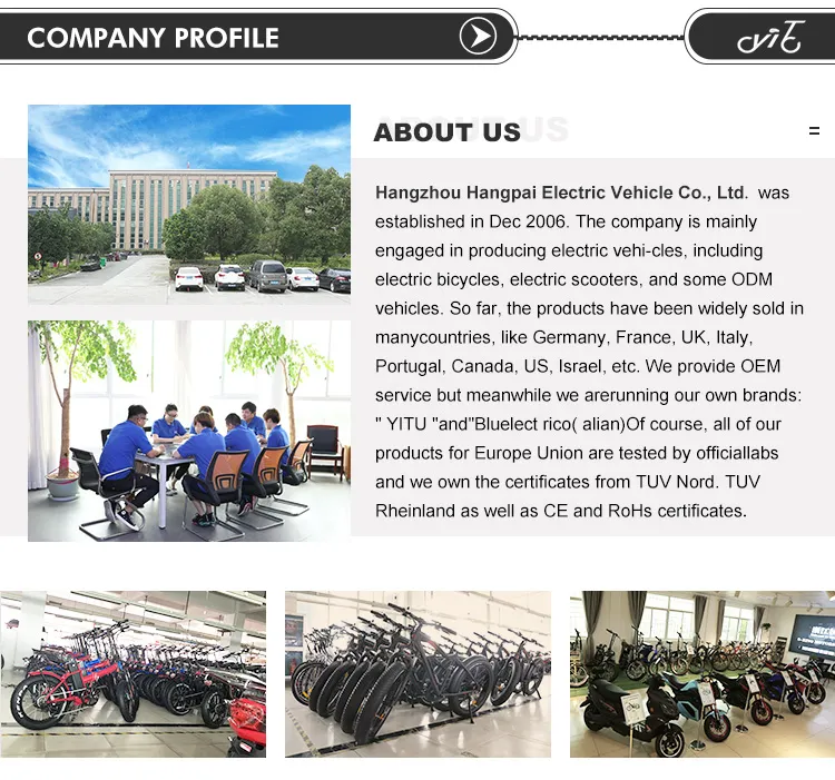 2020 New Design Electric Scooters Fat Tire Electric Bicycle with Lithium Battery CE Approved Motor Electric Motorcycle