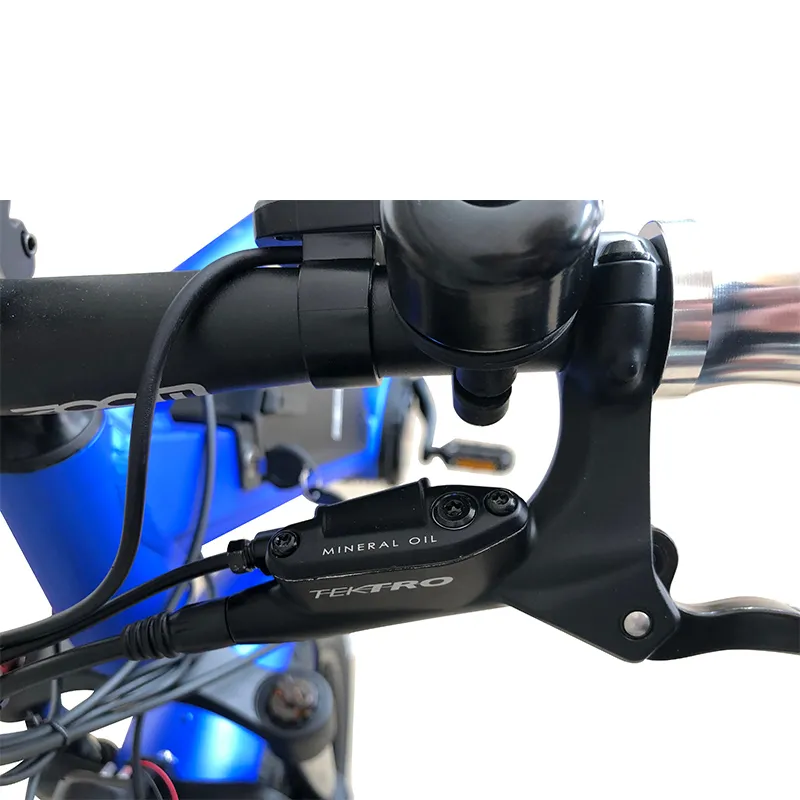 2020 New Model 48V 13ah 500W Lithium Battery MID Drive Ebike