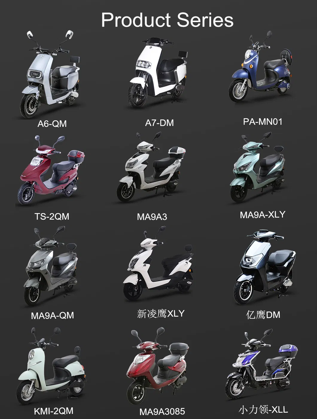 2021 Best Selling Powerful 48V Citycoco Electric Scooter Fat Tire Tricycle Pedal Assisted