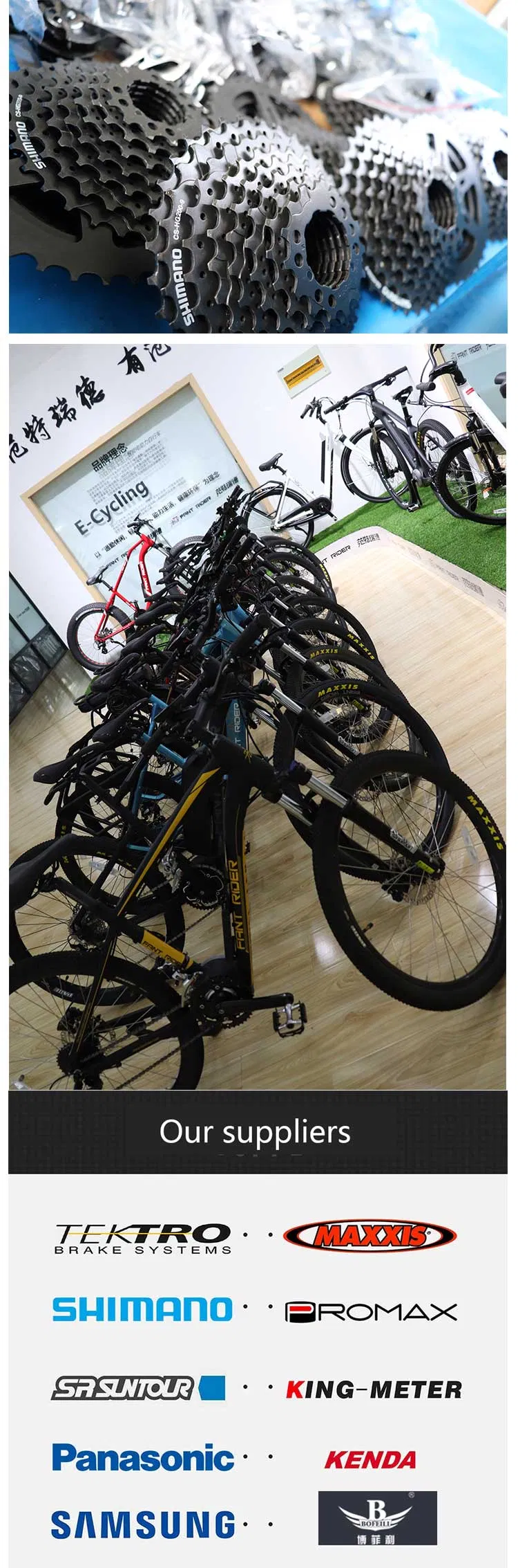 2021 Cheap Price 36V 250W Motor Torque Mountain Electric Bike