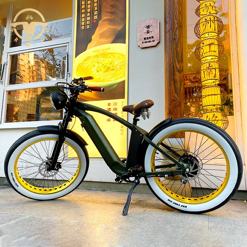 2021 New Products 48V 21ah Lituium Battery 26 Inch Tire Electric Mountain Bike