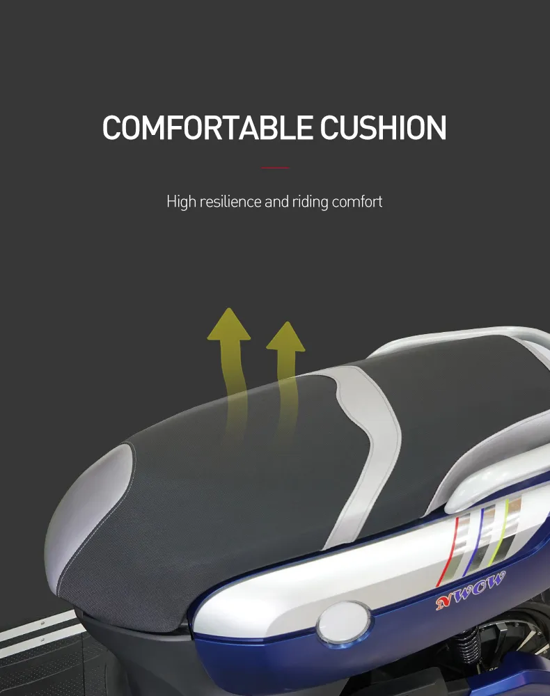 2021 New Style Electric Scooter with Lithium Battery and 75km/H