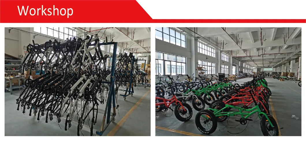 2021 Wholesales Electric Bike Electric Bicycle 48V 500W Electric Dirt Bike Enduro Mini Bike