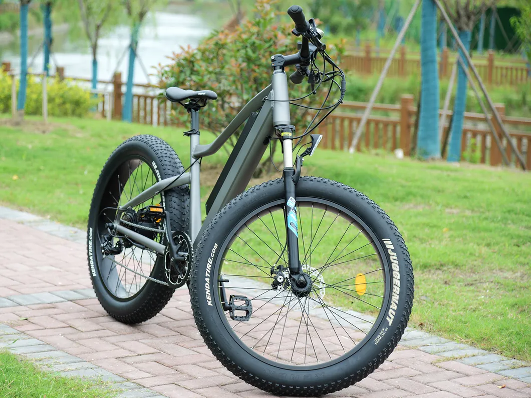2021 Wholesales Electric Bike Electric Bicycle 48V 500W Electric Dirt Bike Enduro Mini Bike