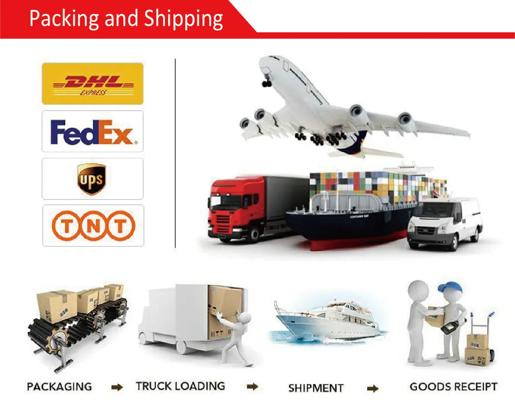 2021 Wholesales Electric Bike Electric Bicycle 48V 500W Electric Dirt Bike Enduro Mini Bike