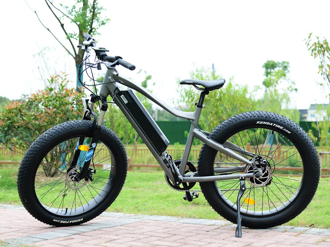 2021 Wholesales Electric Bike Electric Bicycle 48V 500W Electric Dirt Bike Enduro Mini Bike