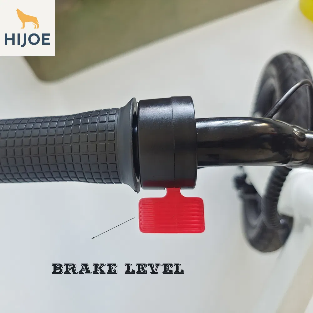 22V200W Electric Balance Bike New Design