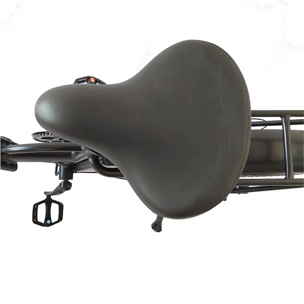 24 Electric Bike Foldable24 Inch Ebike24 Inch Electric Bike