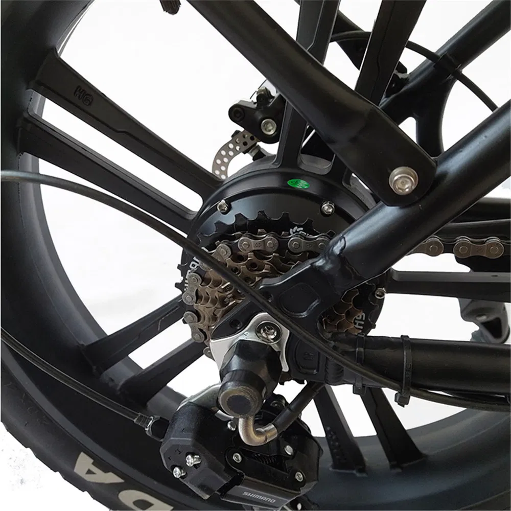 24 Electric Bike Foldable24 Inch Ebike24 Inch Electric Bike