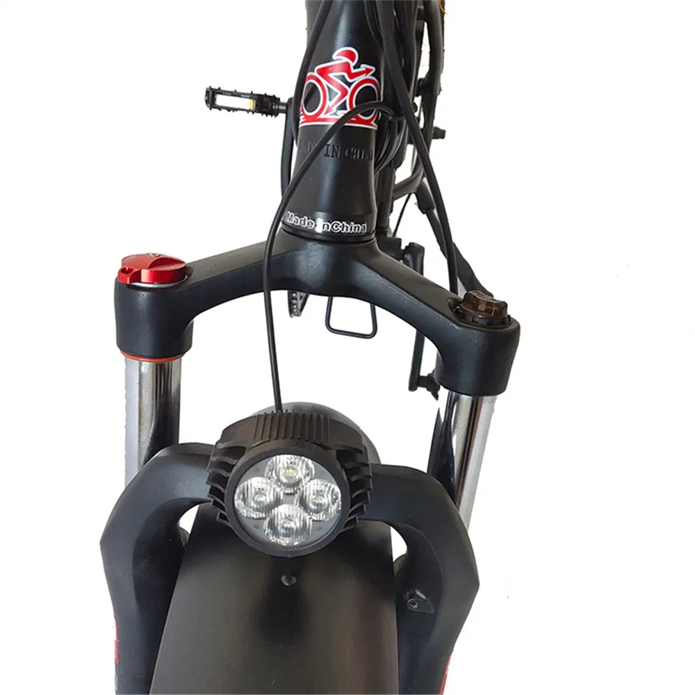 24 Electric Bike Foldable24 Inch Ebike24 Inch Electric Bike