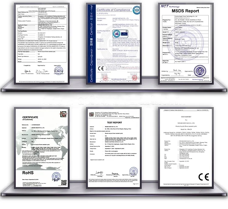 250W/350W/500W Motor Electric Bike with Drum Brake (ES-004)