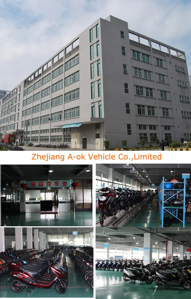 250W/350W/500W Motor Electric Bike with Drum Brake (ES-004)