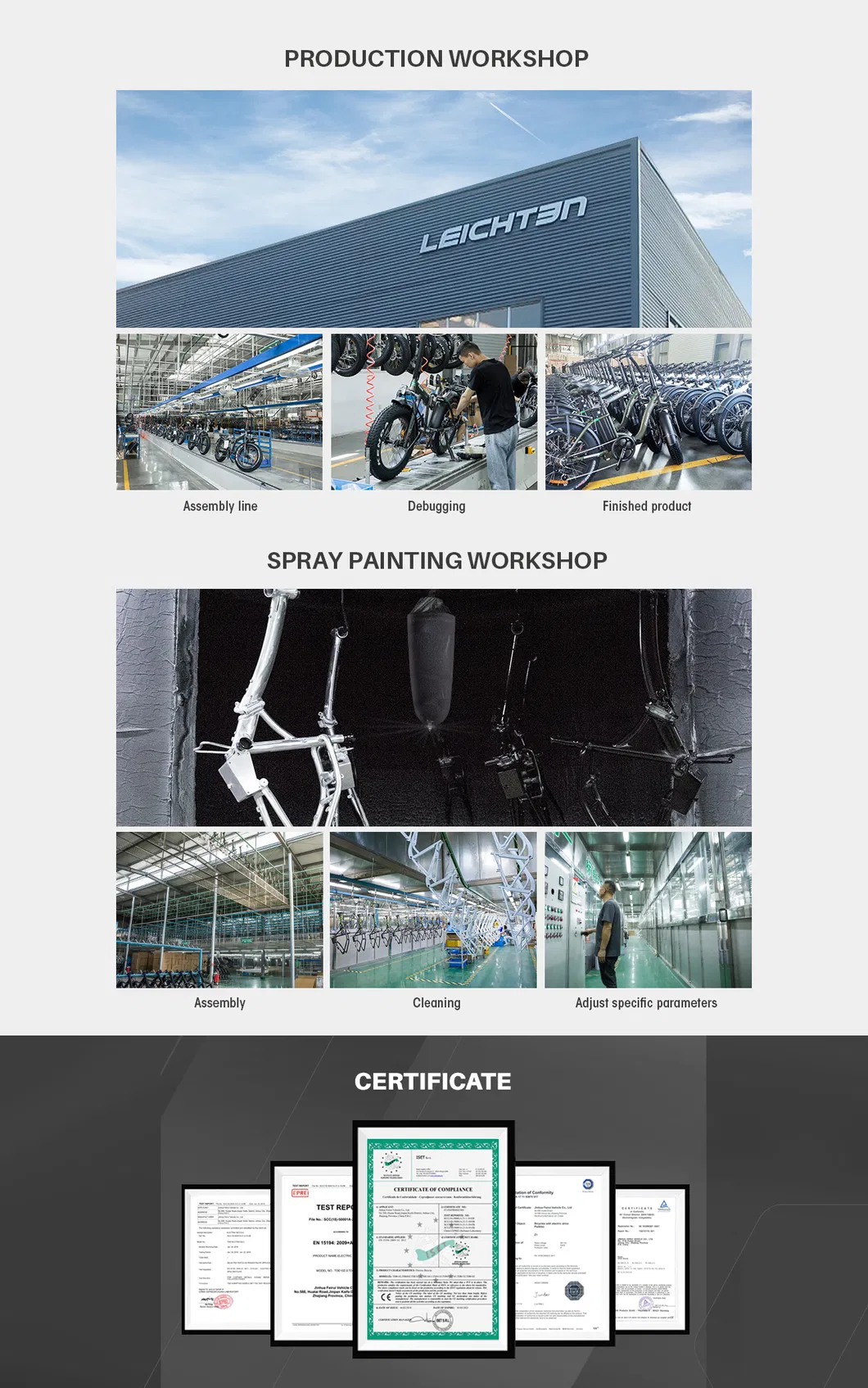 250W Brushless Motor Electric Bike 36V 9.6ah Electric Dirt Bike 5-Lever LCD Display Mens Electric Bikes