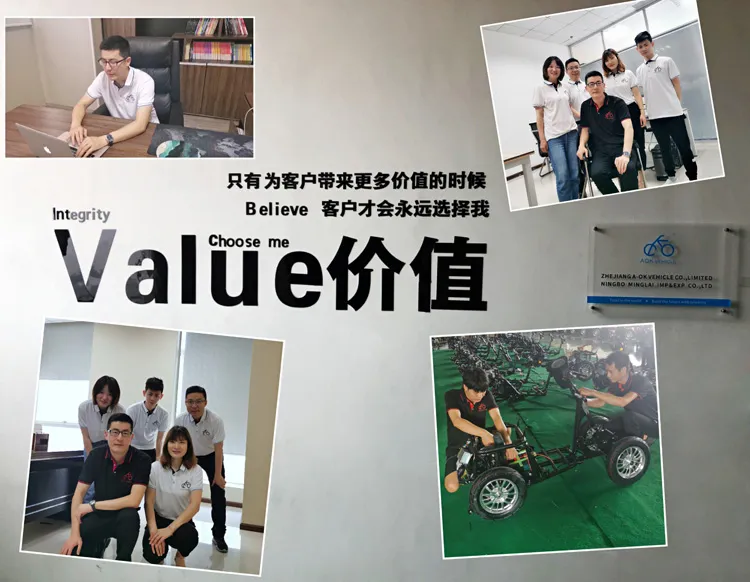 26; *4.0 Fat Tyre Electric Ebike with 8fun 750W Motor Suit for USA & Canada Market