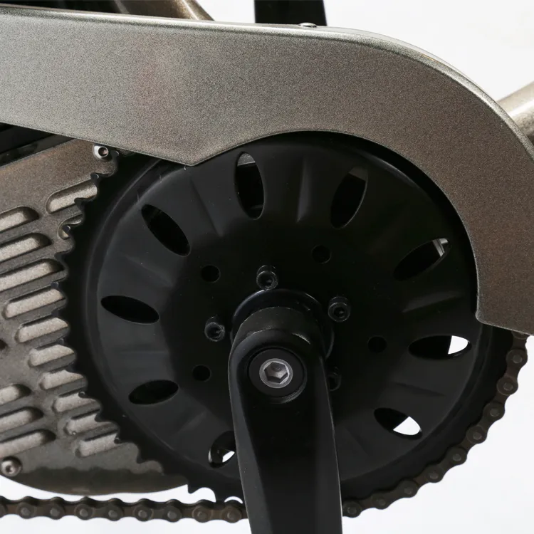 26′′*4.0 Inch MTB Tyre 8fun Central Motor Ultra 1000W E Bike/Fat Tire Adult Electric Bicycle