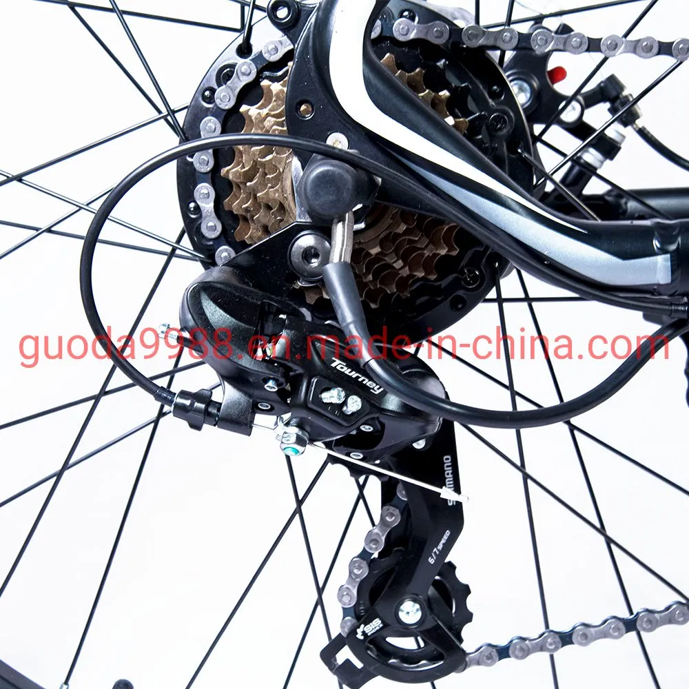 26 Inch Adult 36V Lithium Power Shimano Parts Electric Bicycle
