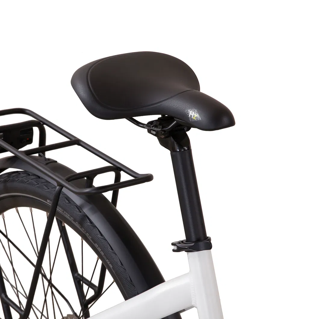 28 Inch MID-Motor 350W Rear Rack Shimano Groupsets Step Thru City Electric Bike
