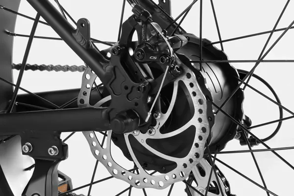 35-60 Miles Range Intelligent Electric Bike