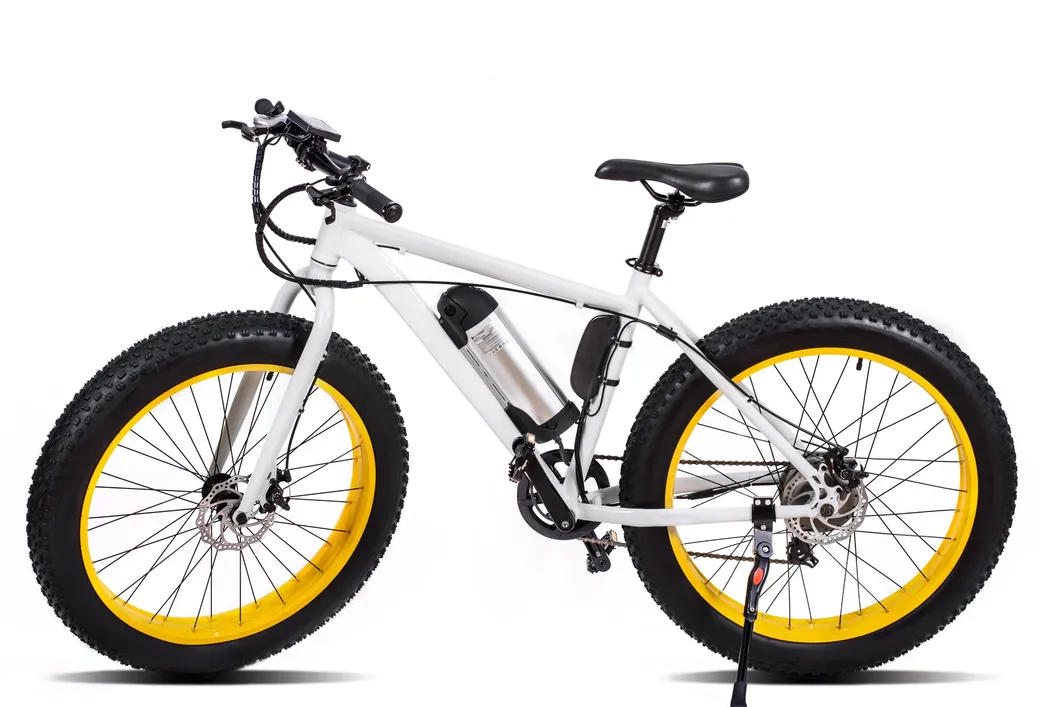 36V250W Ce Approval 26 Inch Electrical Bike off Road Fat Tire