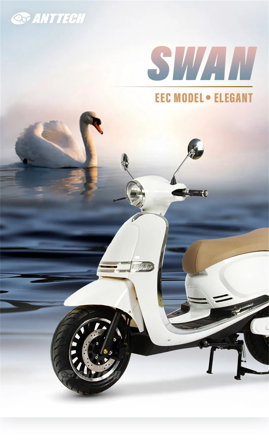 4000W Electric Bike Scooter for Adults Js2b 75km/H