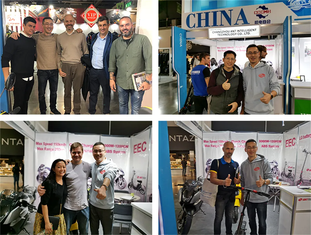 4000W Electric Bike Scooter for Adults Js2b 75km/H