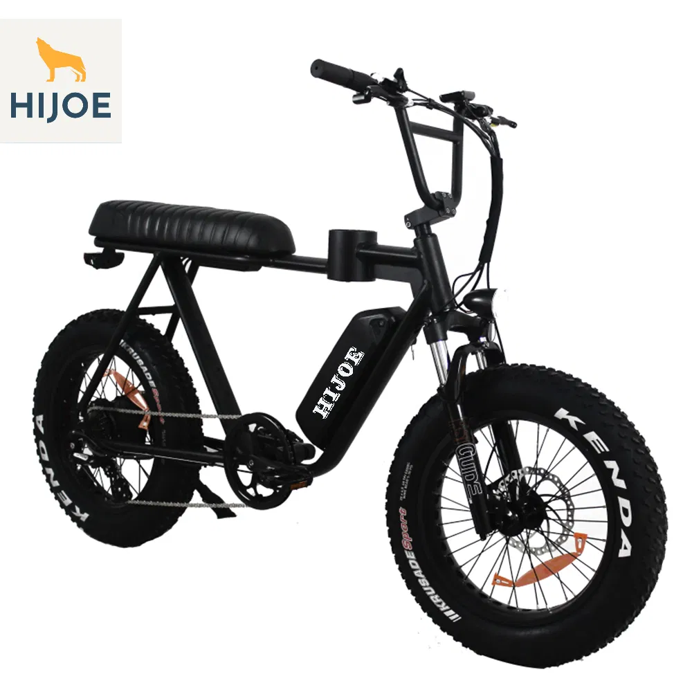 45kmph 20inch Fat Electric Fat Bikes Beach Cruiser 750W