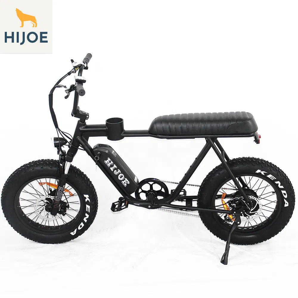 45kmph 20inch Fat Electric Fat Bikes Beach Cruiser 750W