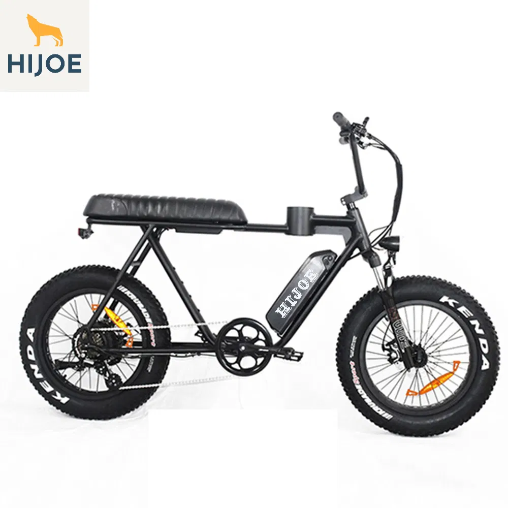 45kmph 20inch Fat Electric Fat Bikes Beach Cruiser 750W