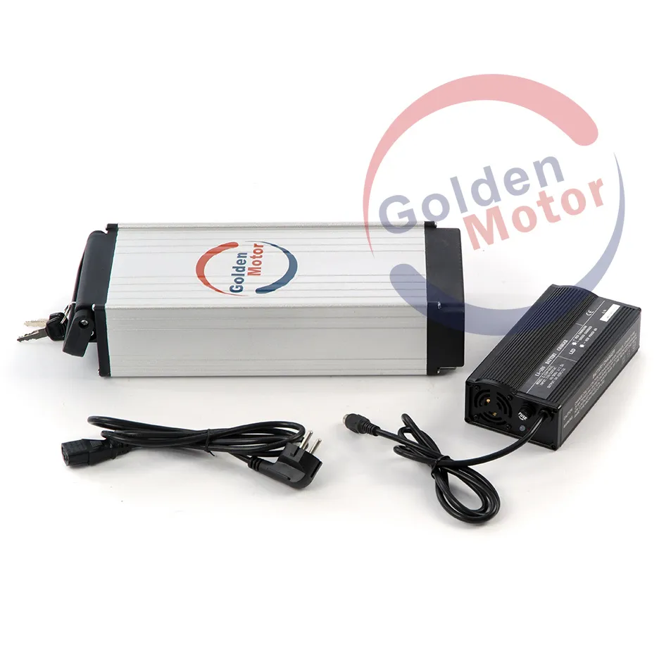 48V 1000W Power Electric Bike High Steep Hills /Fast/Coolest