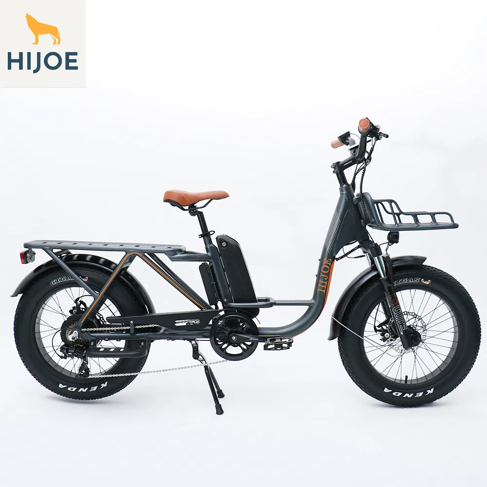 48V750W Urban Fat Electric Cargo Bikes 45kmph