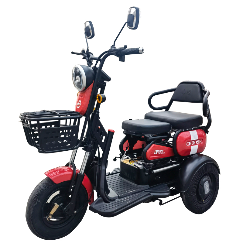 500W800W Stable 3 Wheel Electrico Triciclo Electric Tricycle for Aults
