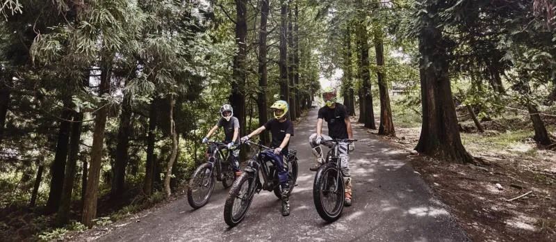 6061 Alloy Aluminum Frame Electric Bicycle Full Suspension Mountain Electric Bike 48V 750-1000W Mountain Electric Bicycle