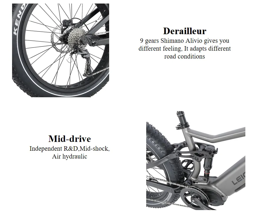 6061 Alloy Aluminum Frame Electric Bicycle Full Suspension Mountain Electric Bike 48V 750-1000W Mountain Electric Bicycle