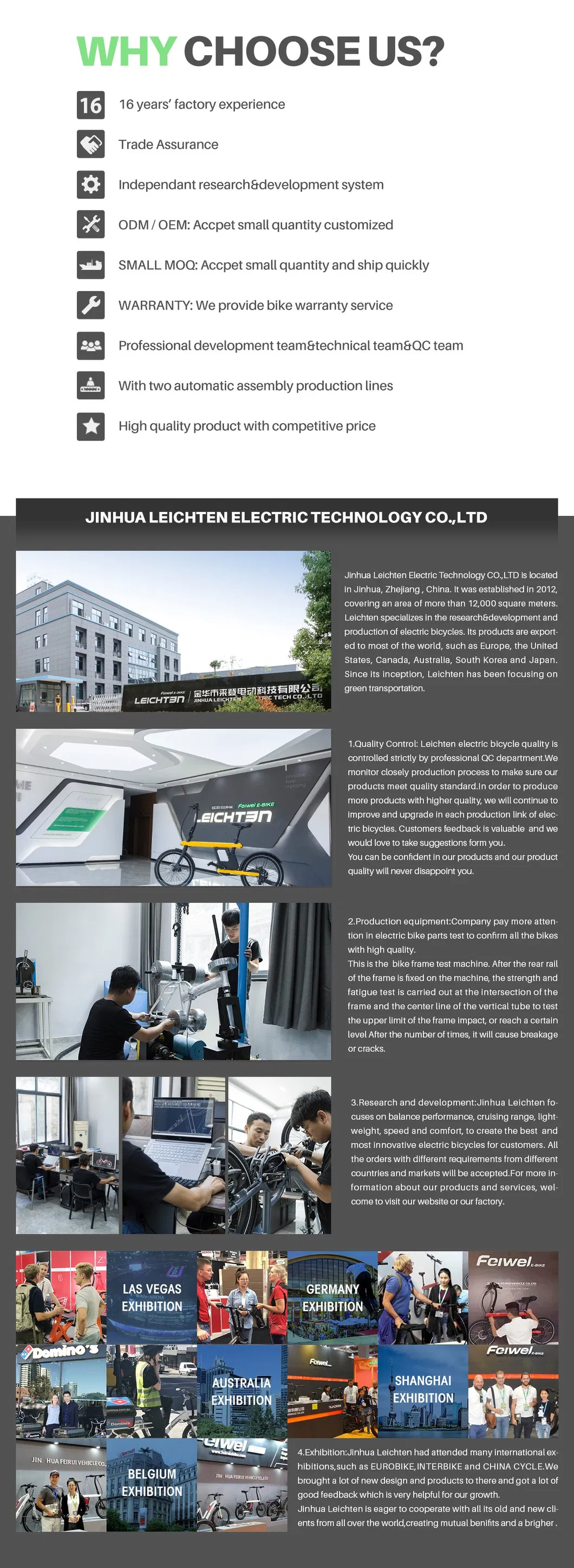 6061 Alloy Aluminum Frame Electric Bicycle Full Suspension Mountain Electric Bike 48V 750-1000W Mountain Electric Bicycle