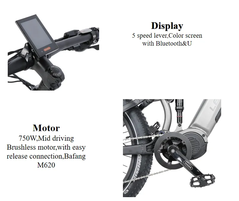 6061 Alloy Aluminum Frame Electric Bicycle Full Suspension Mountain Electric Bike 48V 750-1000W Mountain Electric Bicycle