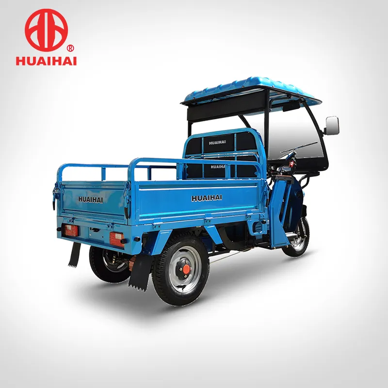 60V 1000W Leisure Life Tricycle Cargo for Sale