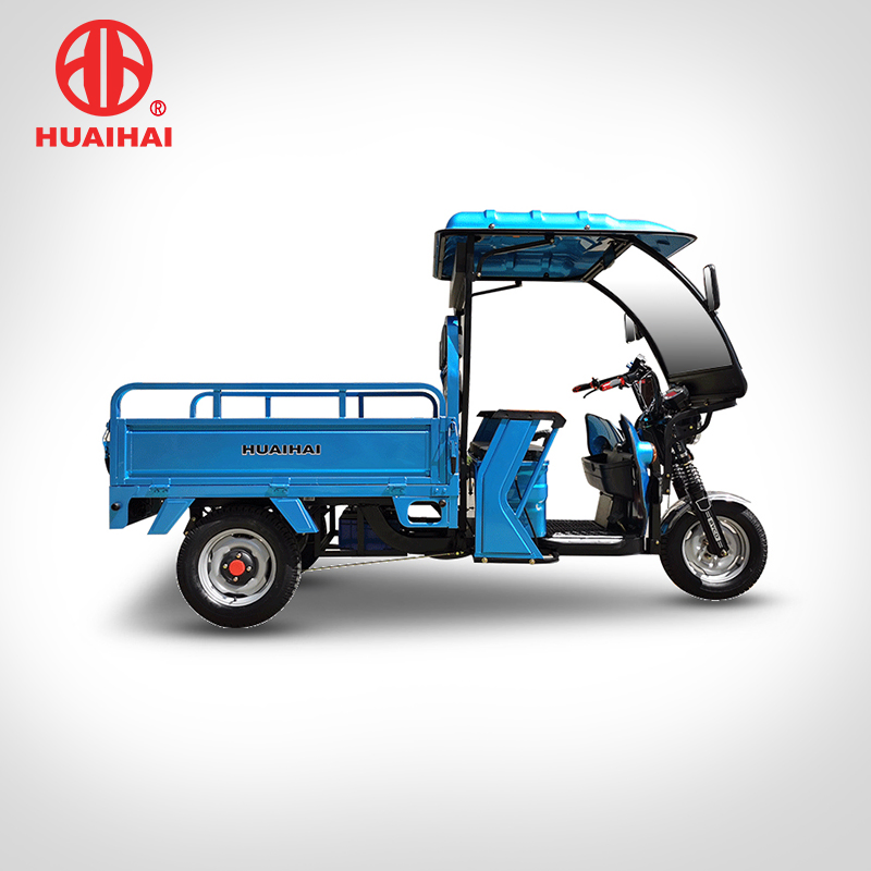 60V 1000W Leisure Life Tricycle Cargo for Sale