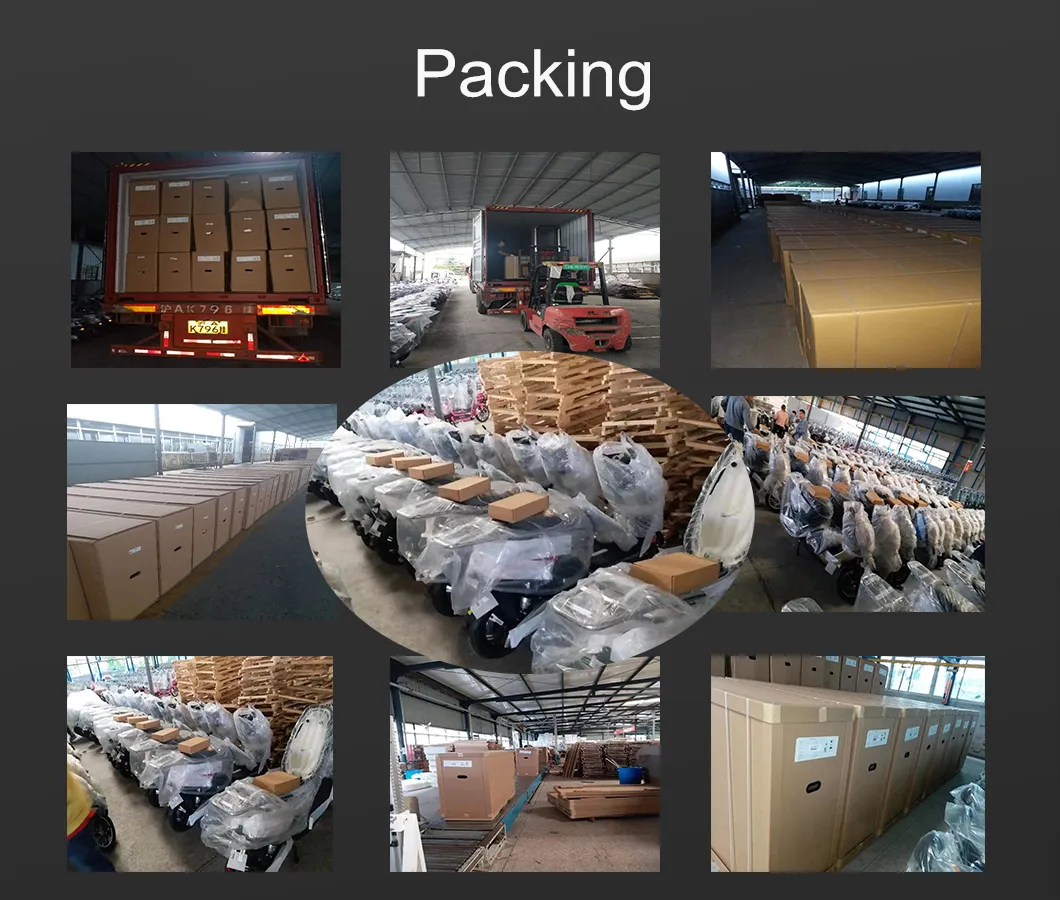 60V 20ah Loading Electric Motorcycle with Pedals/E-Bike Battery Water Bottle Battery Pack