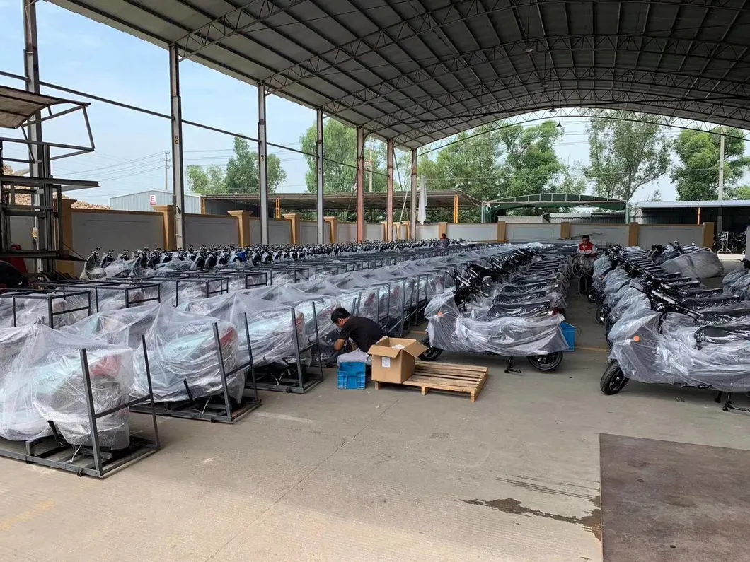 60V1000W Niu Style Electric Motorcycle with Pedal Big Screen Speed Meter